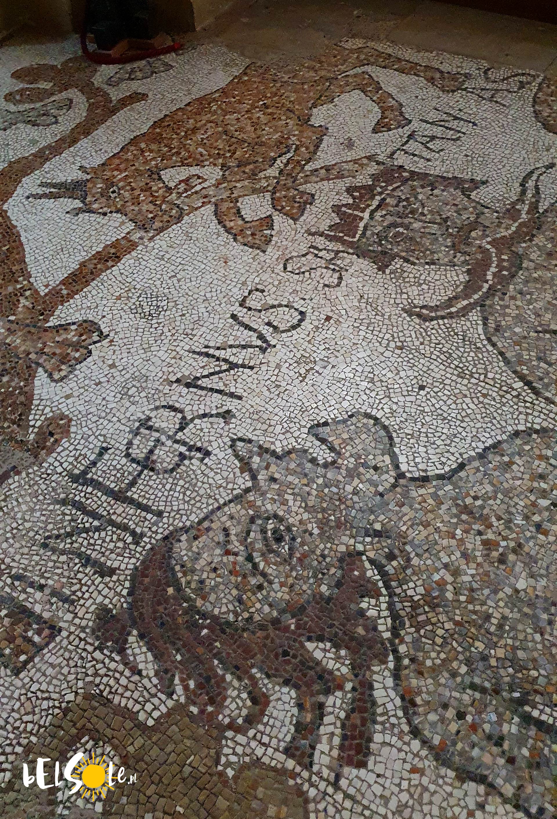 mozaika w katedrze Otranto
