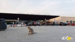 lotniska na Cyprze