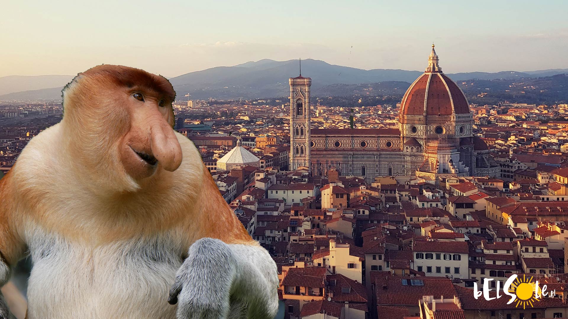 darmowe atrakcje Florencja