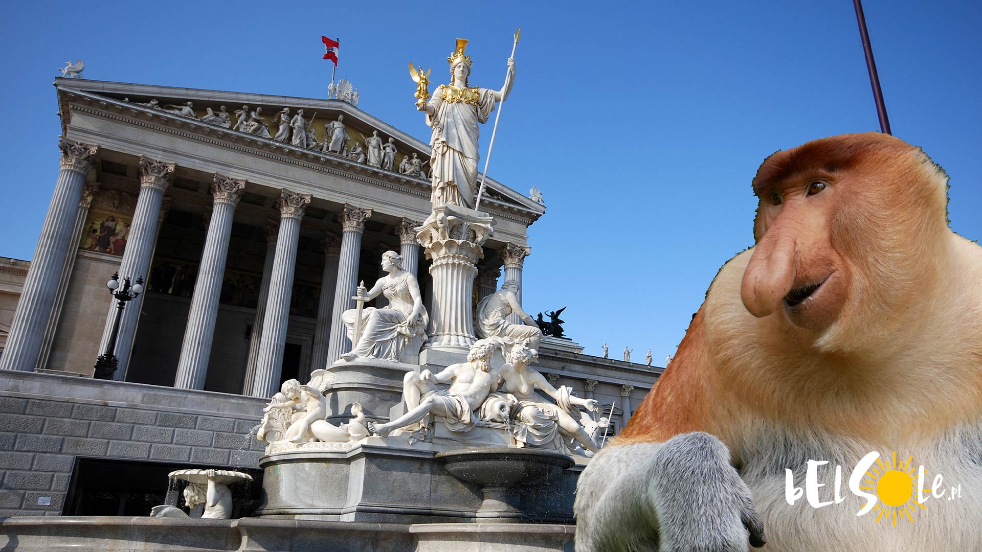 Gdzie Tanio Zje W Wiedniu BelSole