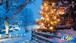 Wigilia Austria