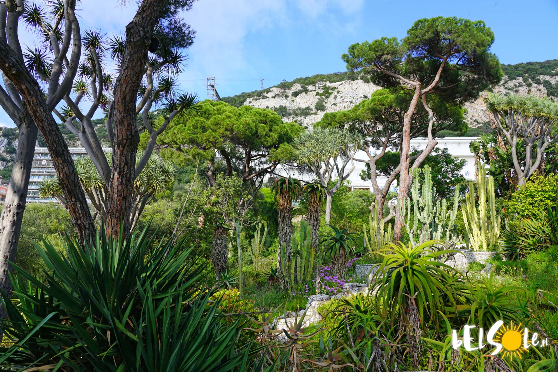 Ogrody botaniczne na Gibraltarze