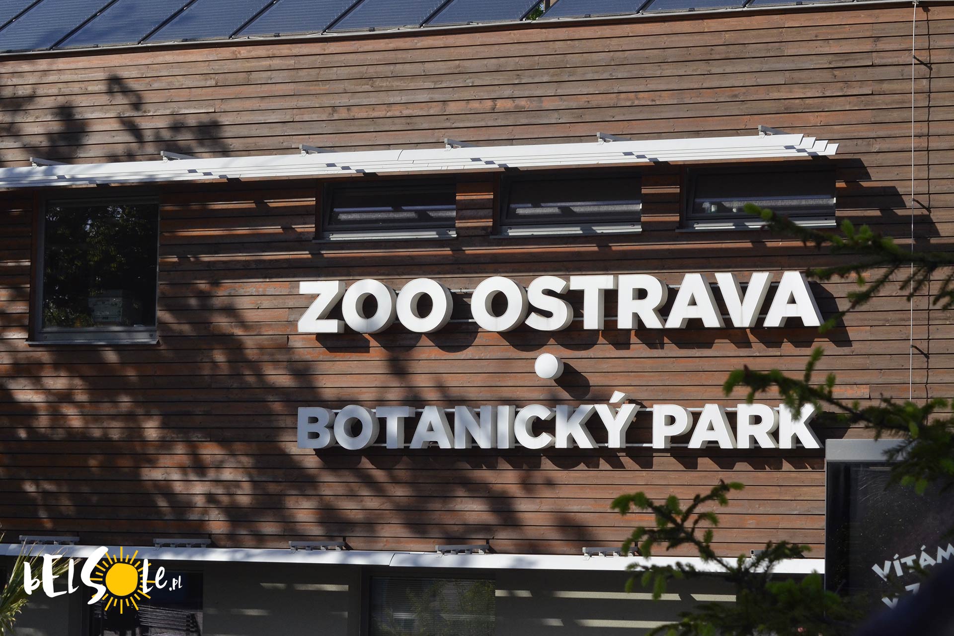 Zoo w Ostrawie