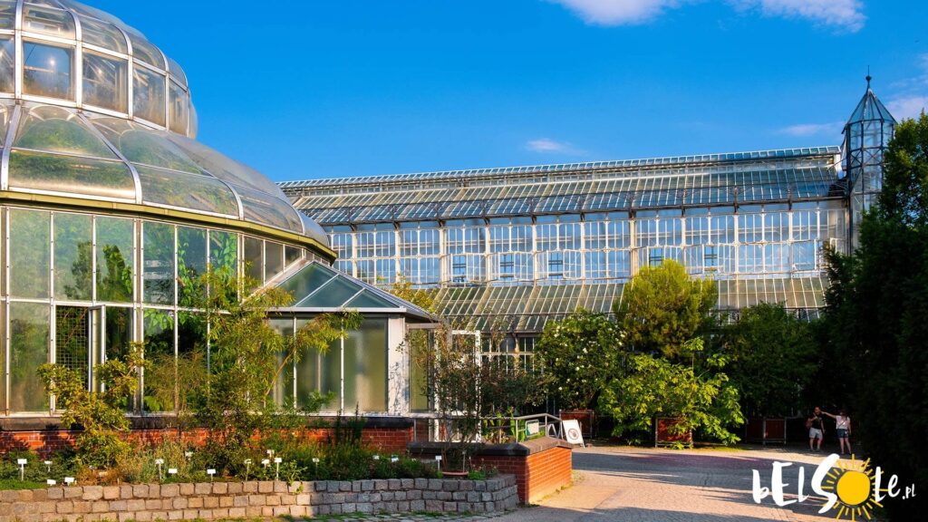 Ogród Botaniczny Poznań Ceny Biletów Ile kosztuje bilet do Ogrodu Botanicznego w Berlinie? Cennik, ceny w